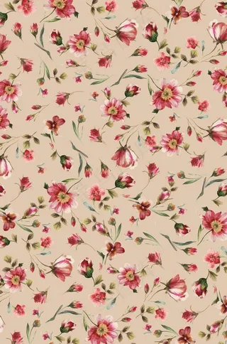 花朵 花卉 欧美印花 各种花图片