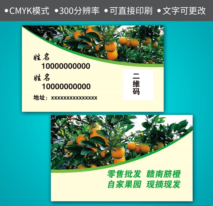 赣南脐橙批发名片图片psd模版下载
