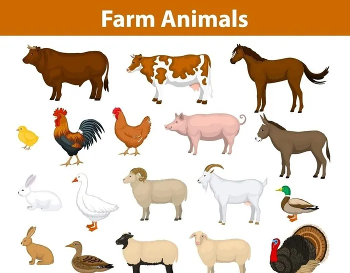 动物图片ai矢量模版下载