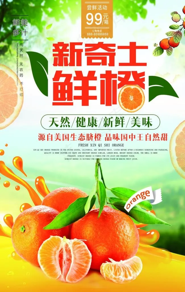 夏季鲜橘海报图片psd模版下载