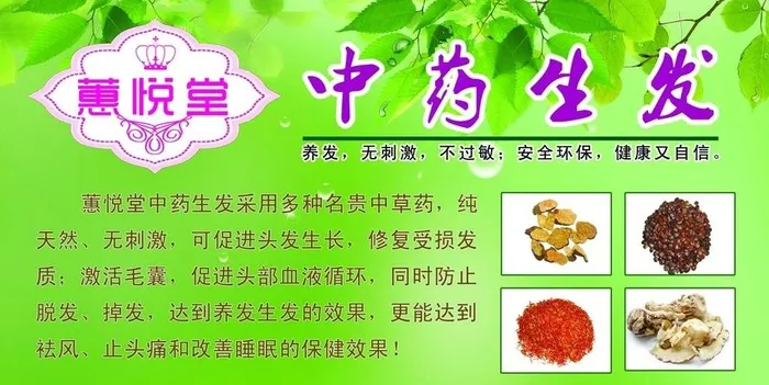 中药养发展板图片(4252x2268)psd模版下载