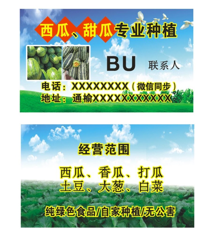 西瓜名片图片cdr矢量模版下载