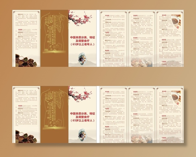 中医体质折页图片cdr矢量模版下载