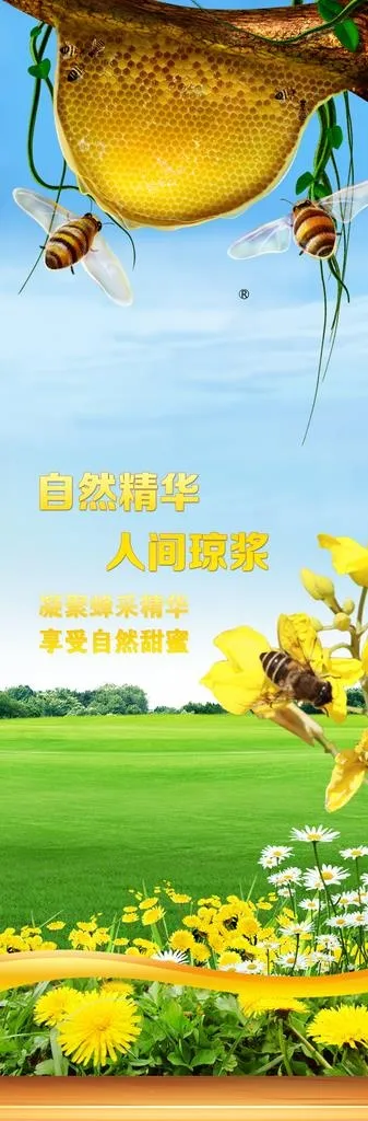 蜂蜜图片(3268x9074)psd模版下载