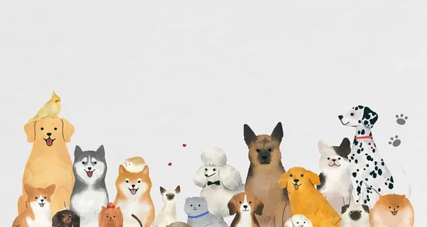 可爱宠物插画图片