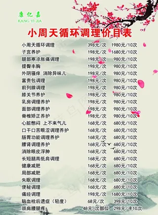 康亿嘉小周天循环调理价目表图片
