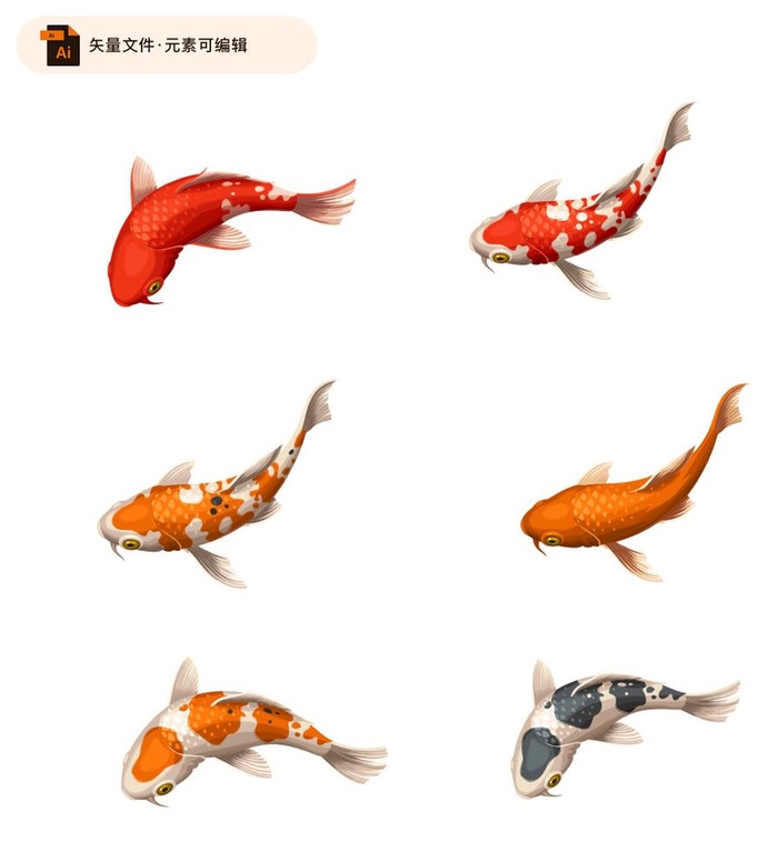 精致锦鲤矢量素材图片