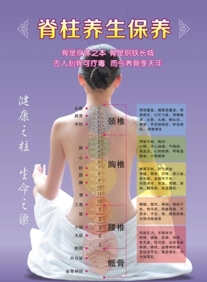 脊柱养生版面图片cdr矢量模版下载