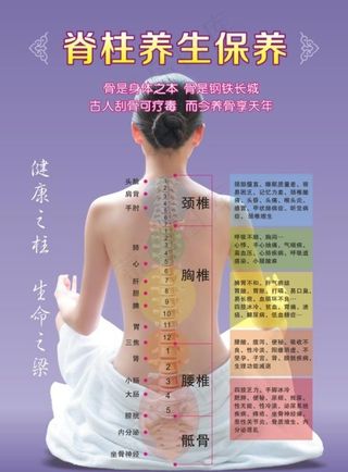 脊柱养生版面图片