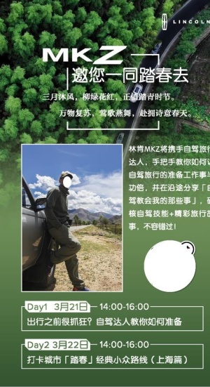 林肯踏青图片