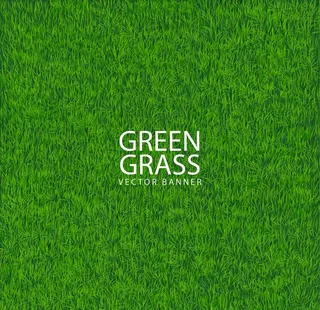 青草 绿色背景图片