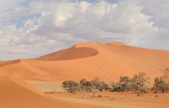沙漠戈壁滩图片