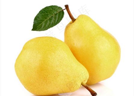 雪梨 冰糖雪梨 鸭梨 梨子图片