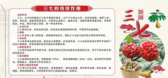 三七图片