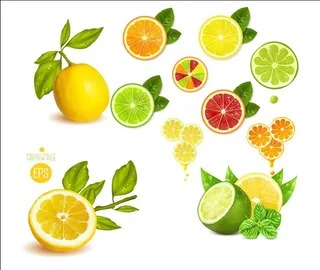 柠檬切面 柠檬片图片