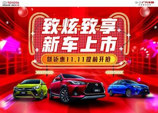 致炫致享新车上市 双11图片