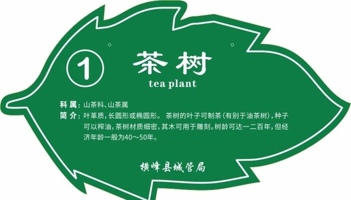 树名牌图片cdr矢量模版下载