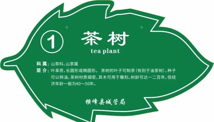 树名牌图片cdr矢量模版下载
