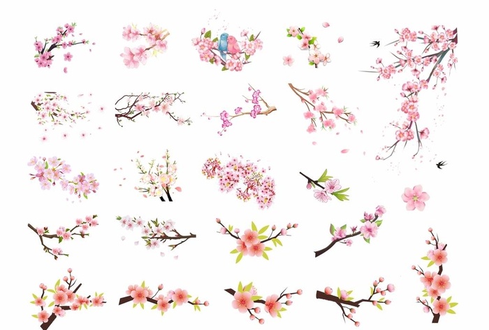 桃花图片cdr矢量模版下载