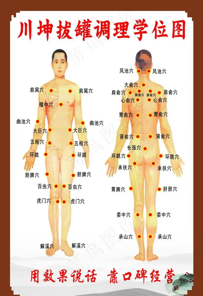 拔罐穴位图图片