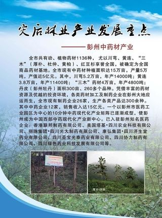 中药材产业图片