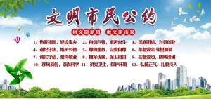 市民公约图片