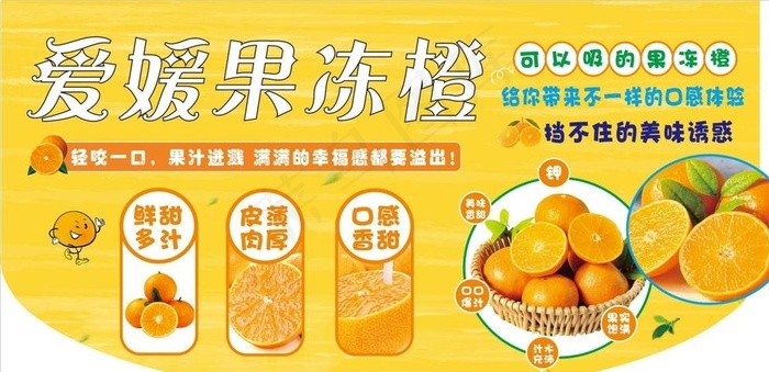 爱媛果冻橙图片