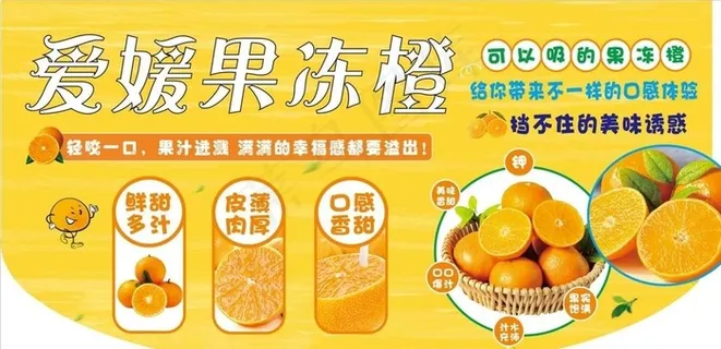 爱媛果冻橙图片