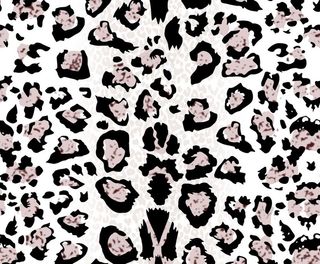 豹纹 白底 手绘印花图片