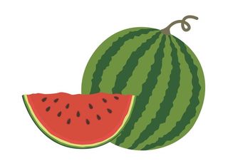 西瓜手绘图片
