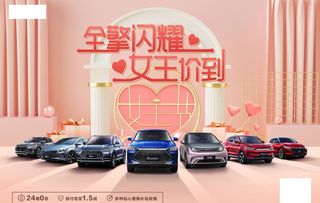 比亚迪-海洋网女王节团购会图片