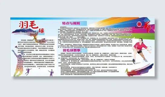 羽毛球简介图片