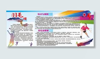 羽毛球简介图片