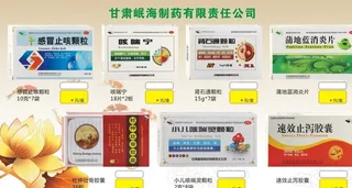 甘肃岷海制药图片