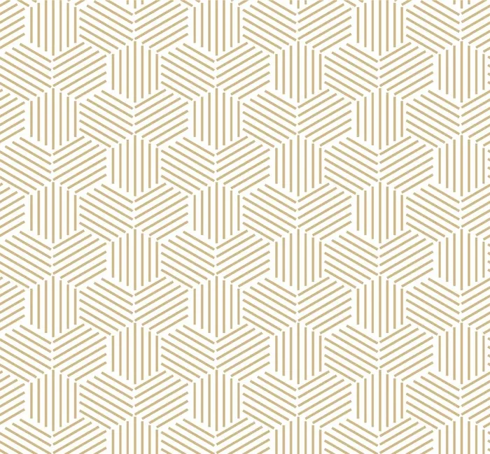时尚线条背景图片ai矢量模版下载