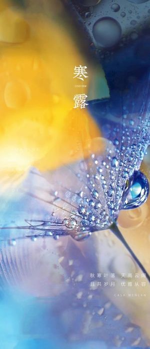 寒露海报图片