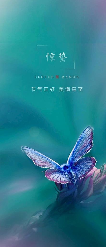惊蛰图片(1080x2340)psd模版下载
