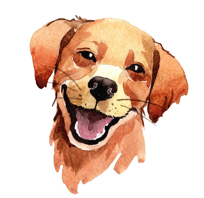 手绘水彩狗图片