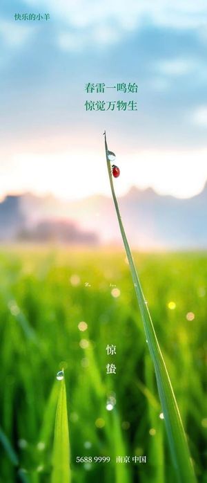 惊蛰节气海报图片