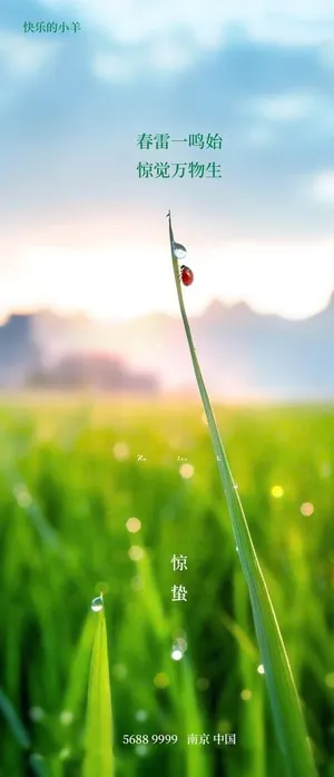 惊蛰节气海报图片