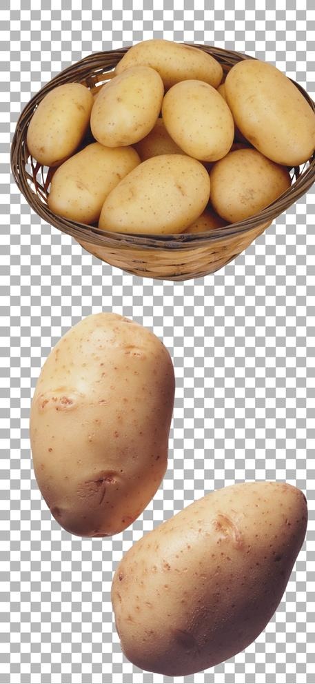 土豆图片