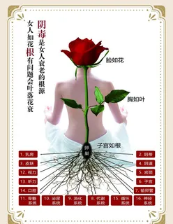 卵巢保养图片 卵巢保养图片