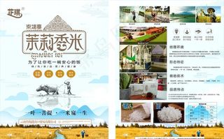 大米宣传单图片
