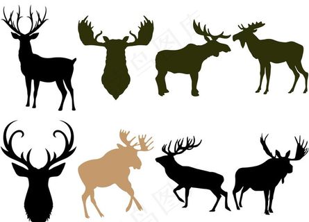 鹿图片