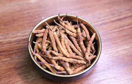 虫草图片 虫草图片