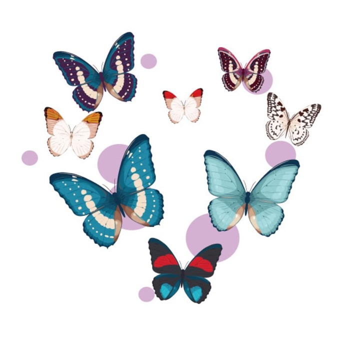 七彩蝴蝶设计图片