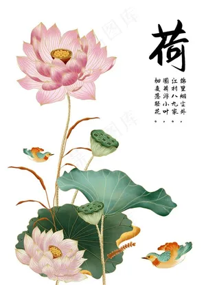 手绘荷花荷叶装饰画图片