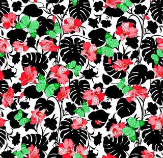 热带花卉 热带叶子图片