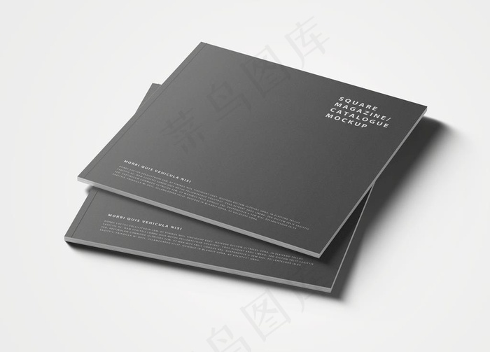 画册杂志样机图片(3000x2250)psd模版下载