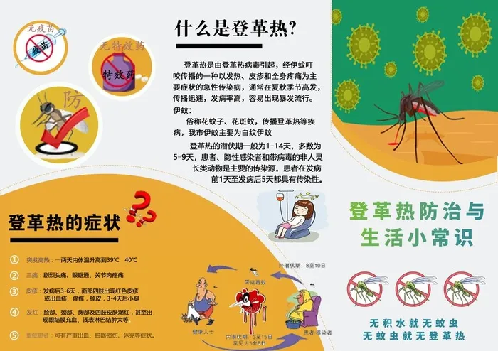预防登革热图片(3366x2480)psd模版下载